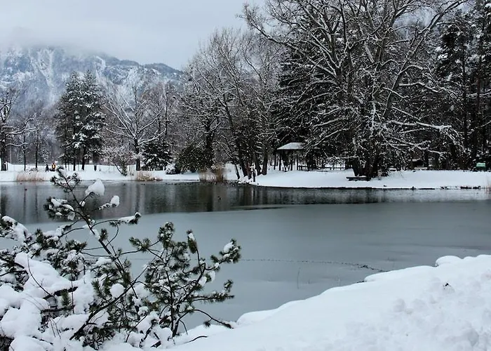 מלון Sorell Tamina